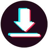 Video Downloader 1.0