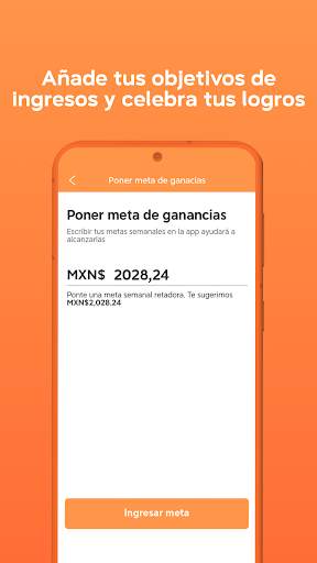 DiDi Conductor: Auto o moto screenshot 4