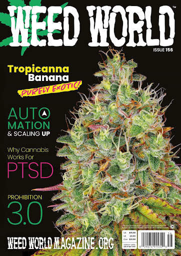 Weed World Magazine screenshot 4