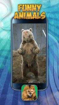 Funny Animals Photo Frames screenshot 4