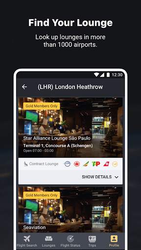 Star Alliance screenshot 3