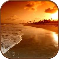 HD Beach Sunset Live Wallpaper logo