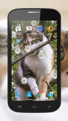 Cats Live Wallpaper screenshot 2