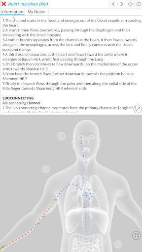 Visual Acupuncture 3D स्क्रीनशॉट 8