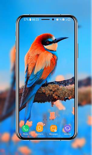 Birds Wallpaper screenshot 3