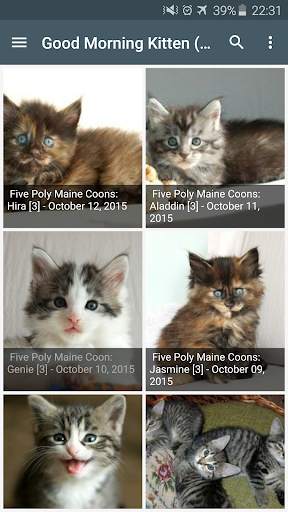 Cute funny puppy & cat photos screenshot 3