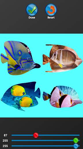 Fish Photo Collage Maker screenshot 6