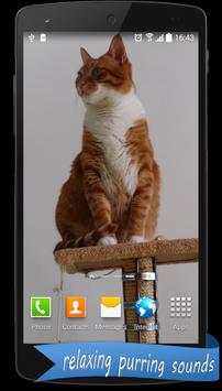 Live HD Cat Wallpaper screenshot 2