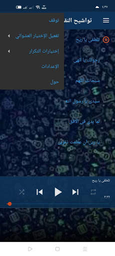 تواشيح دينية بدون نت screenshot 2