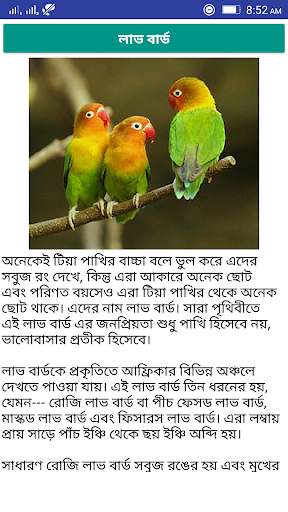 Birds Care स्क्रीनशॉट 3