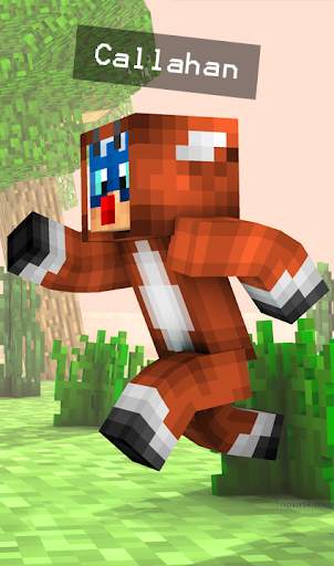Dream Skin for Minecraft screenshot 5