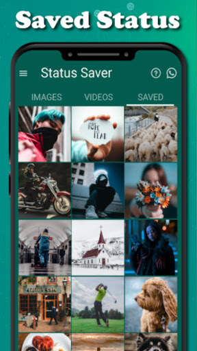 Status Saver - WA Status Saver & Status Downloader screenshot 7