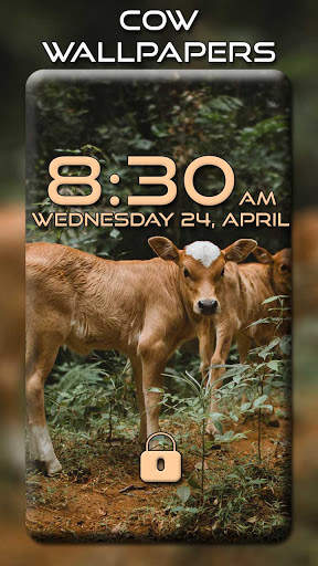 Cow Wallpapers screenshot 2