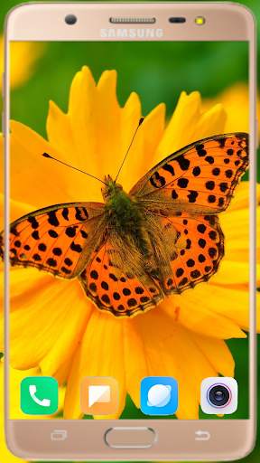 Butterfly Wallpaper Best HD screenshot 7
