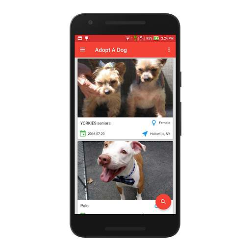 Dog Lovers screenshot 7