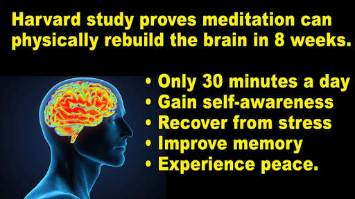 Qigong Meditation (YMAA) Dr.Yang, Jwing-Ming screenshot 9