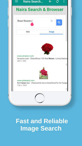 Naira Search & Browser screenshot 6