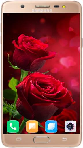 Red Rose Wallpaper 4K screenshot 2