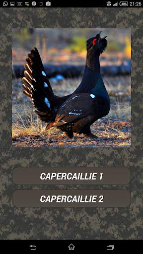 Turkey hunting calls screenshot 3