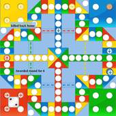 Ludo Cast 1.0