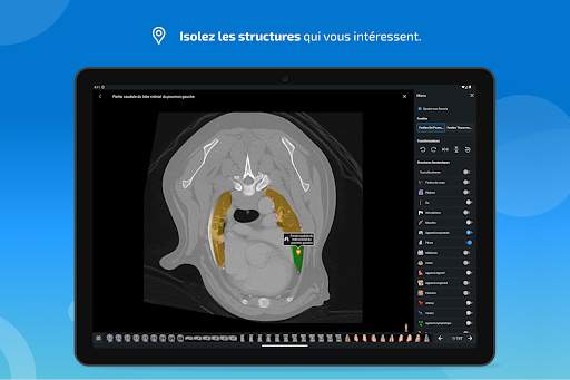 vet-Anatomy screenshot 12