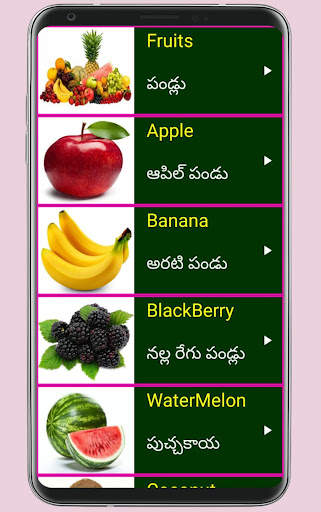 Learn English From Telugu screenshot 7