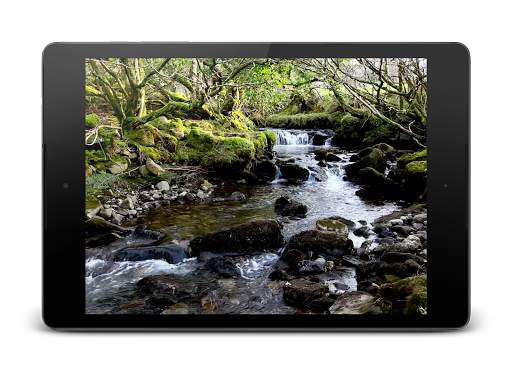 Rivers Video Live Wallpaper screenshot 7
