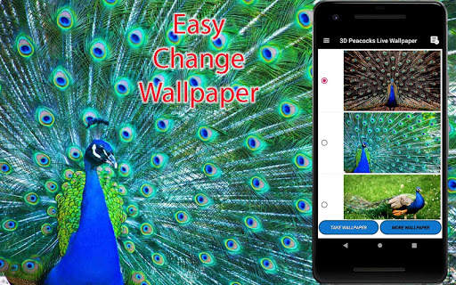 3D Peacock Live Wallpapers screenshot 2