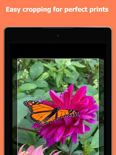 Fast Photo Prints 1 Hour Print Photos. Photo Print screenshot 16