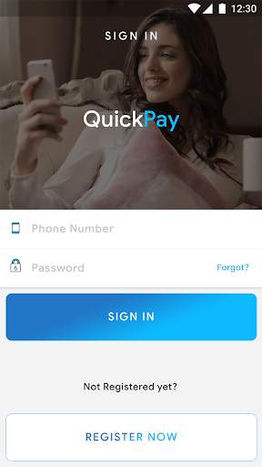 QuickPay - Template screenshot 1