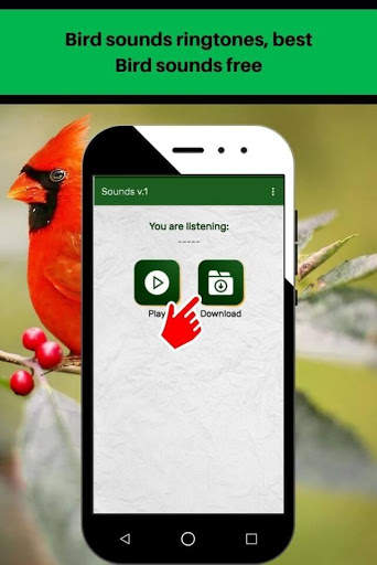 Bird sounds ringtones, best Bird sounds free screenshot 4