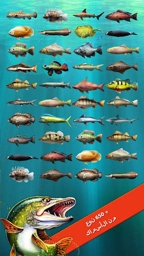 Let's Fish: لعبة صيد السمك 3 تصوير الشاشة
