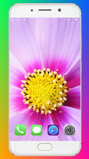 Macro Wallpaper HD screenshot 2