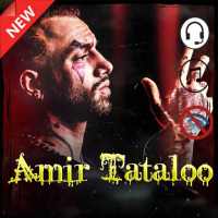 Amir Tataloo songs 2020 logo