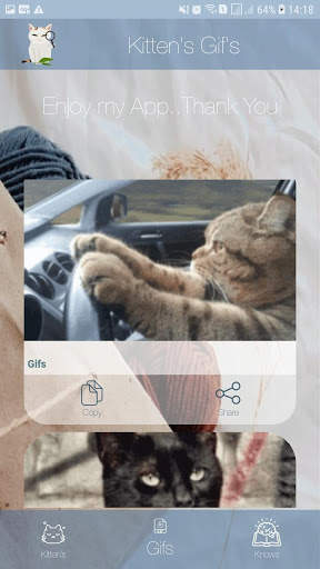 Fotos Fofas de Gatinhos para Papel de Parede screenshot 6