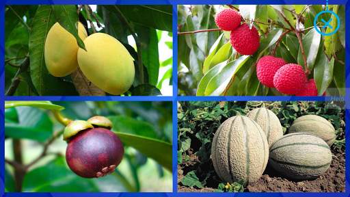 Fruits and Vegetables for Kids - Flashcards Puzzle скриншот 18