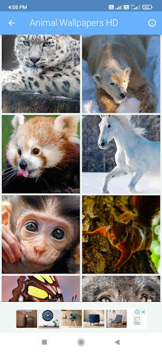 Animal Wallpapers HD screenshot 7
