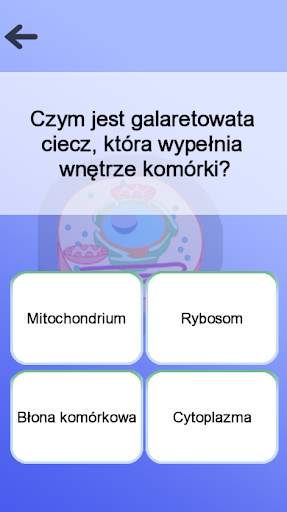 Anatomia screenshot 7