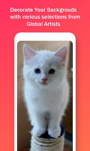 Cute Cat HD Wallpapers screenshot 2