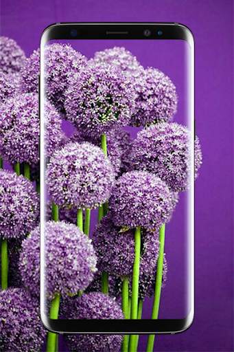 Purple Wallpaper HD screenshot 1