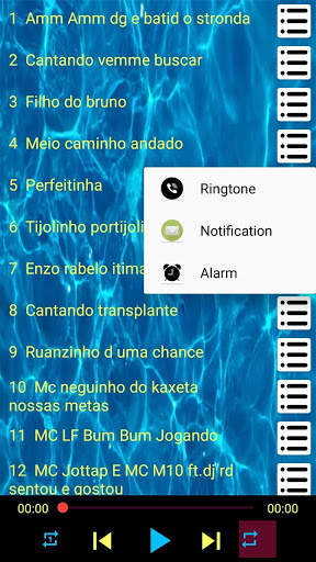 Enzo Rabelo Ringtone Songs  OFFLINE screenshot 7