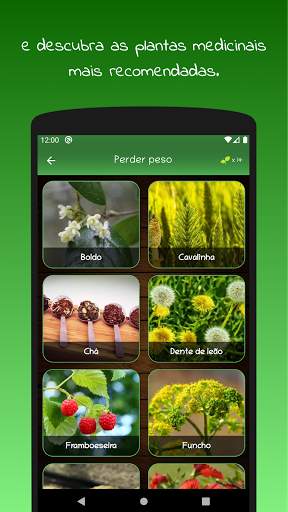 myRemedy: Plantas medicinais e seus usos screenshot 3
