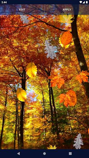Autumn Leaves Live Wallpaper screenshot 4
