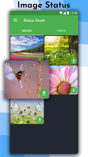Story Saver, Video Downloader screenshot 2