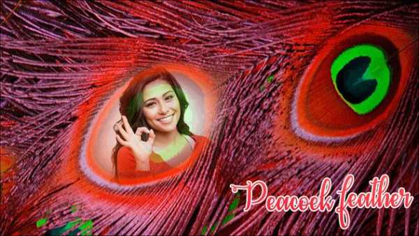 Peacock Photo Frames screenshot 1