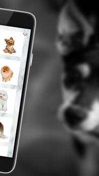 Bark screenshot 2