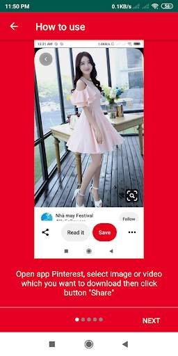 PinDownloader - Download video for Pinterest screenshot 1