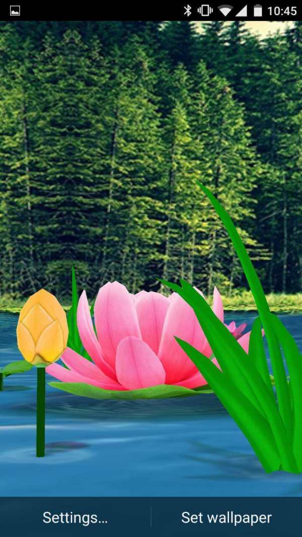 Flower Live Wallpaper 3D screenshot 8