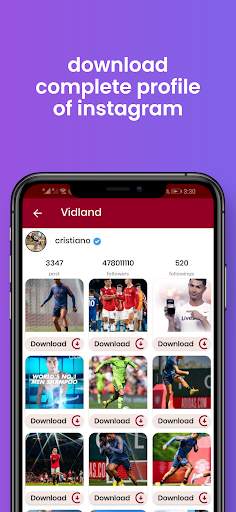 vidland - download any video screenshot 3
