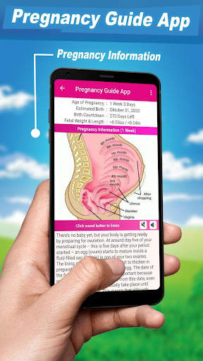 Pregnancy Guide Tracker screenshot 2